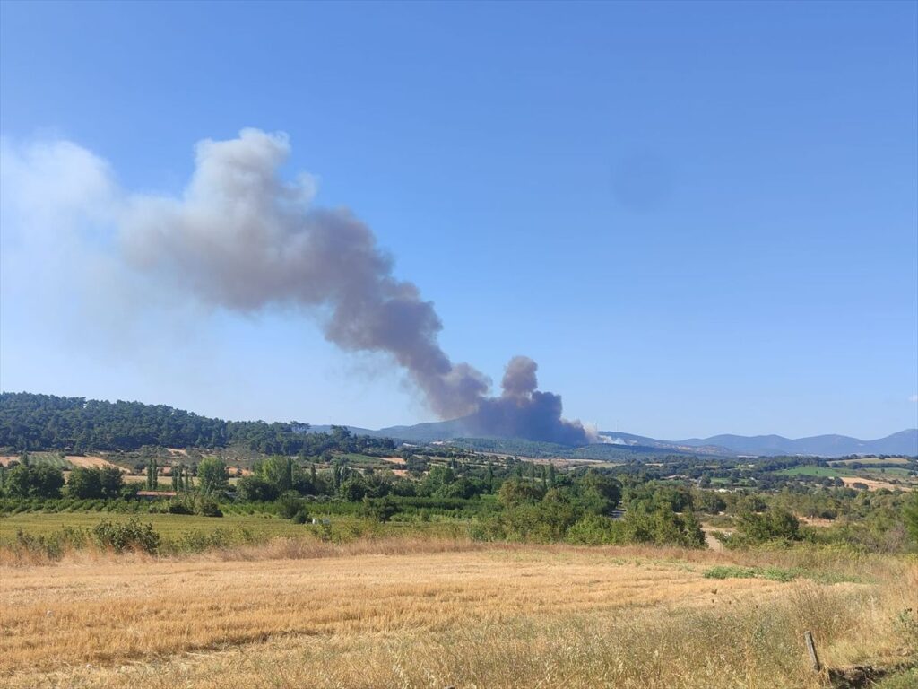 Bayramiç’te Orman Yangını