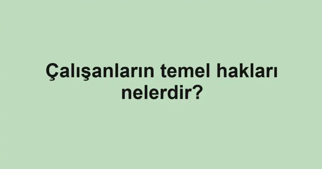 Çalışanların temel hakları nelerdir?